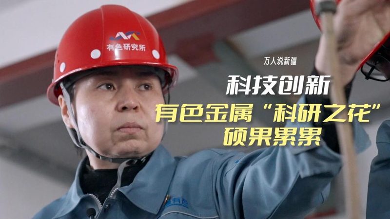 科技公司有哪些类型：解析科技企业的多元面貌